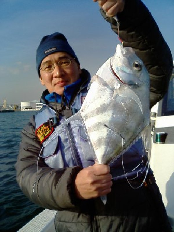 �C�g�q�L�A�W